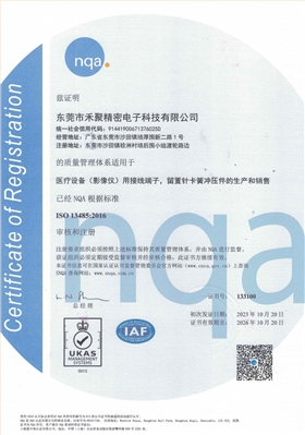 ISO13485中文